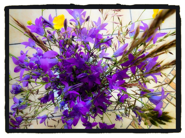 Утро началось с полевых цветов.