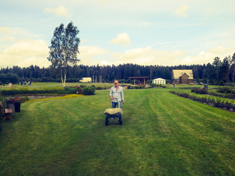 Мои розочки;-) и 32-я пошла:-)