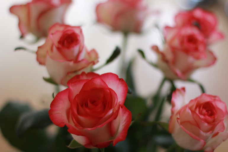 Фотопост весенний