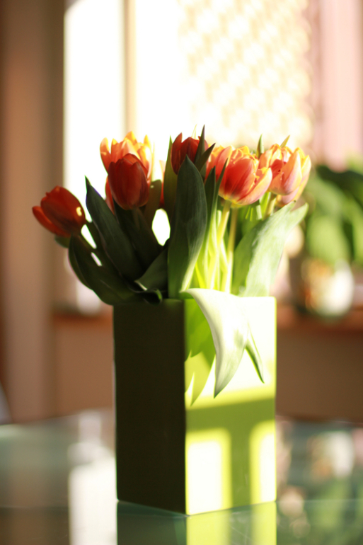 Муж радует. Я хвастаюсь:-)