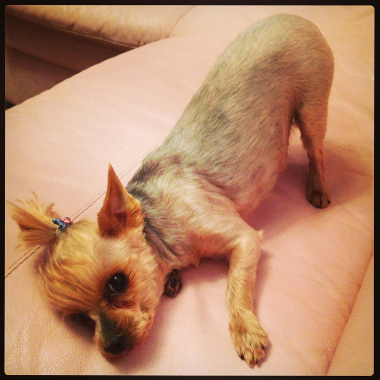 Вот оно наше новое чудо расчудесное!!!!!!