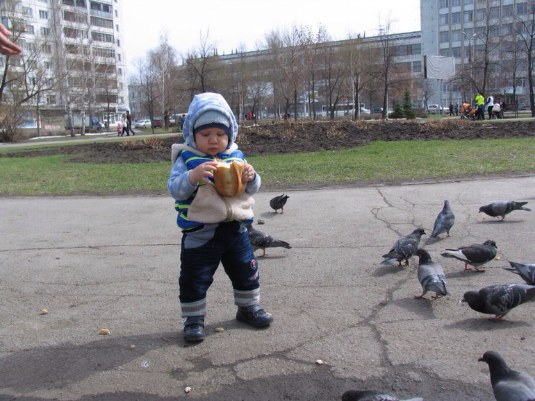 Прогулки...