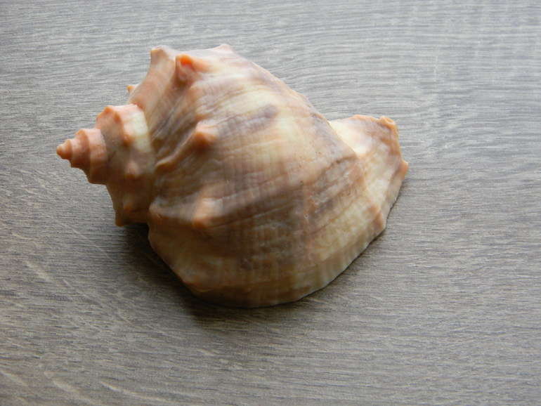 Новые формы