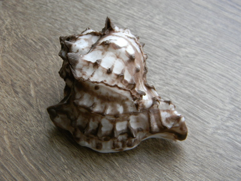 Новые формы