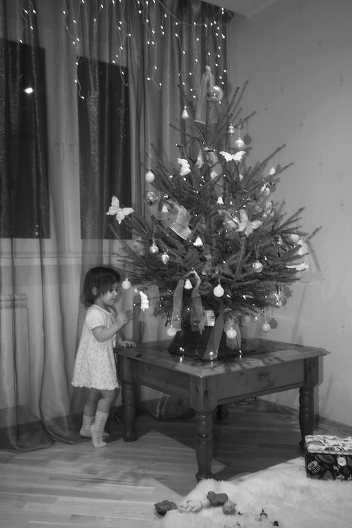 Рождственский пост