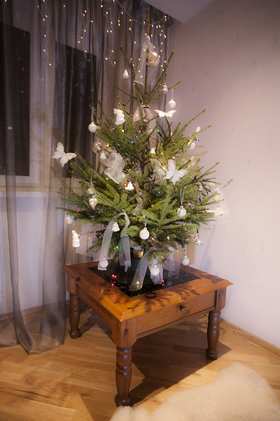 Рождственский пост