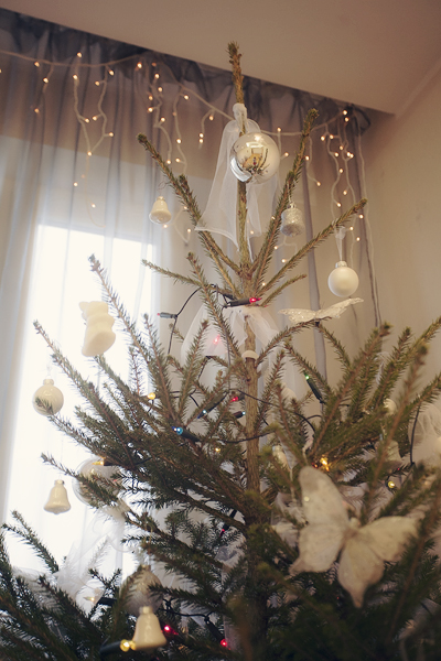 Рождственский пост