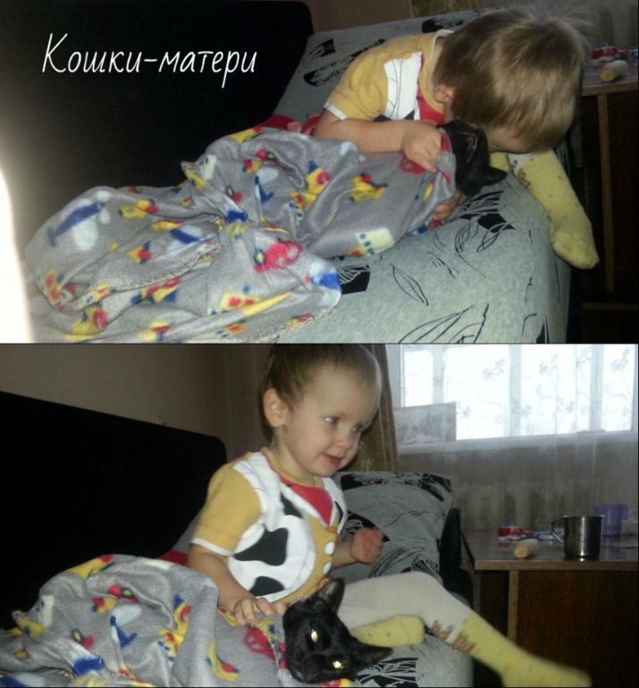 Кошки-матери и много Лерки