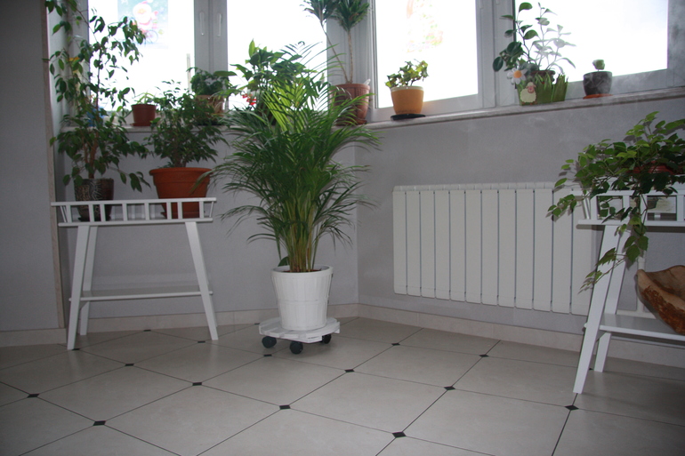 Кресло в зимний сад)))) и не только оно.......