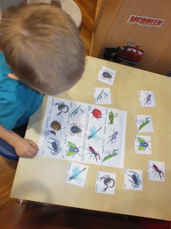 ТЗ "Муха-цокотуха"