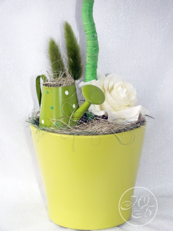 Весенняя коллекция )