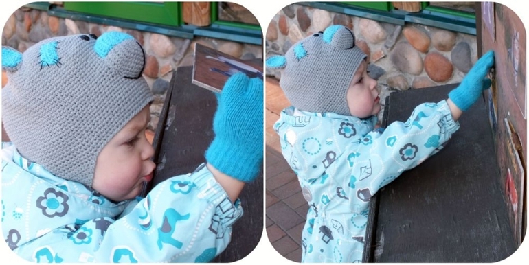 ТН Домашние животные.