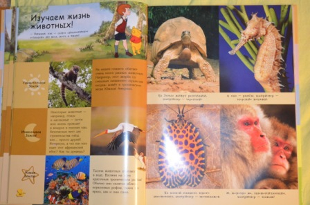 Из последнего. На вырост)