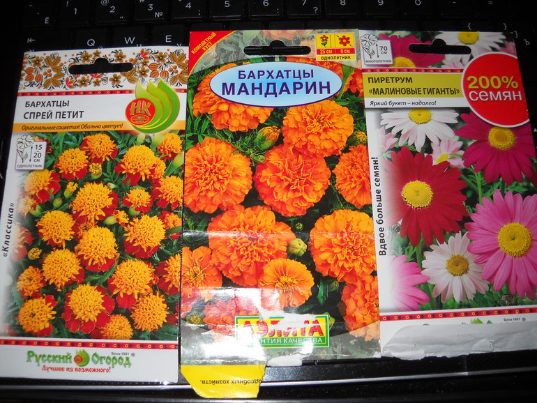 Дела огородные