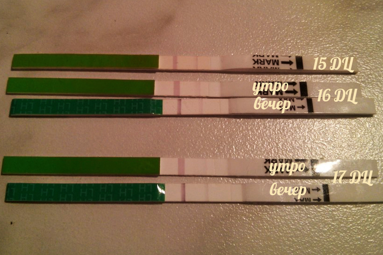 Помогите разобраться с тестами....