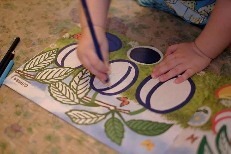 ТН "Цвет" Синий денек