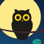 Когда будет очередная Ночная охота))???