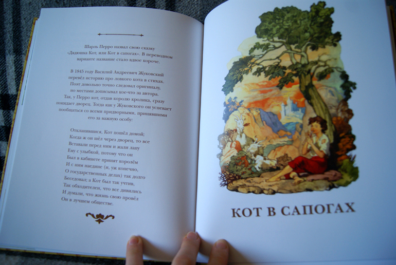 Наши новиночки