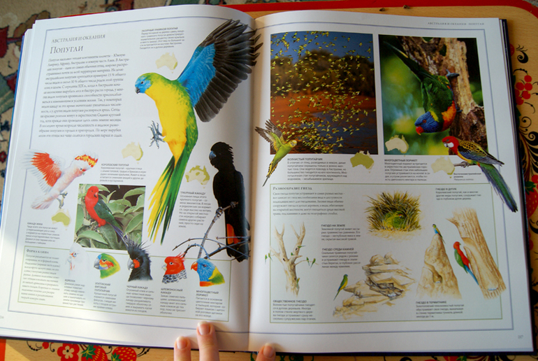 Животный мир. Иллюстрированный атлась. Махаон.