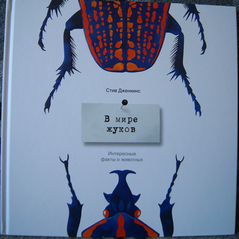 Наши новиночки