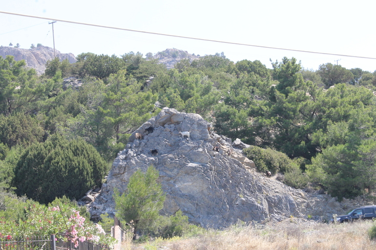 Наш отдых: май, Греция, о. Родос (много фото)