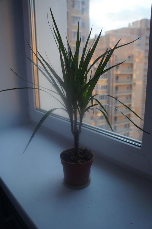 Всем привет!