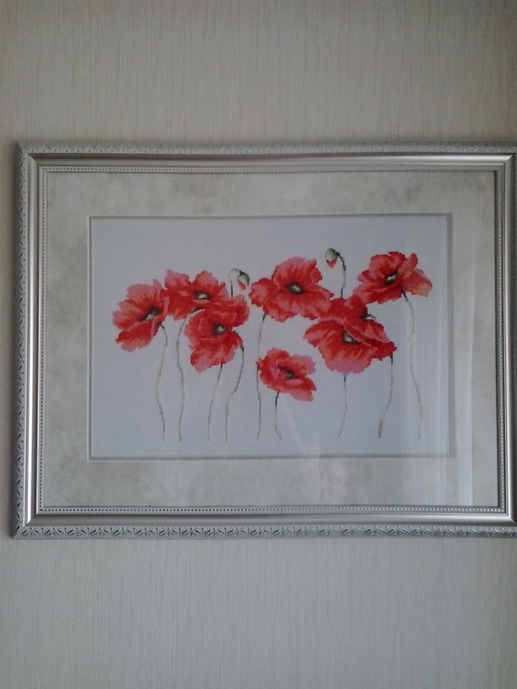 Мои "Маки"...