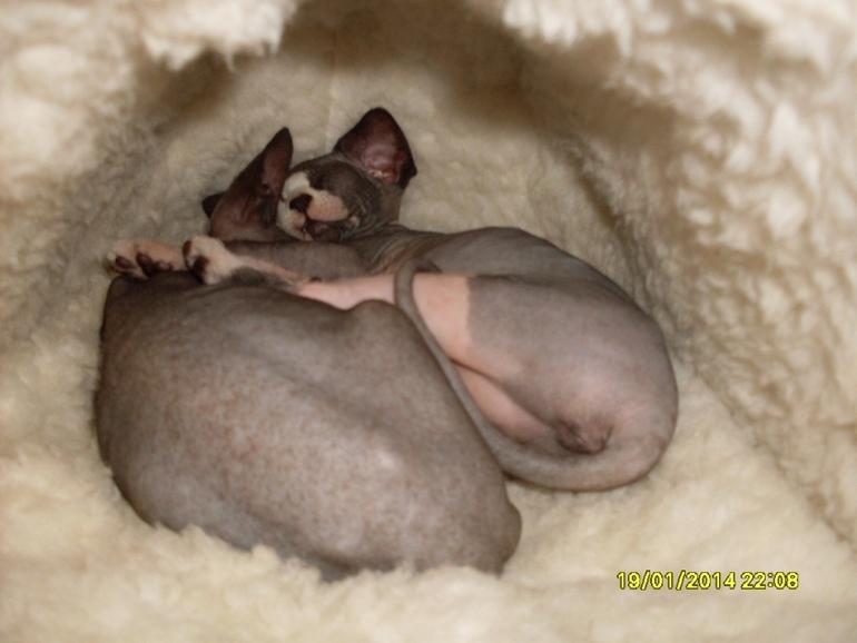 А у нас ЛЮБОВЬ!