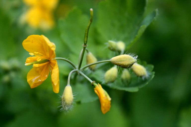 После Дождя
