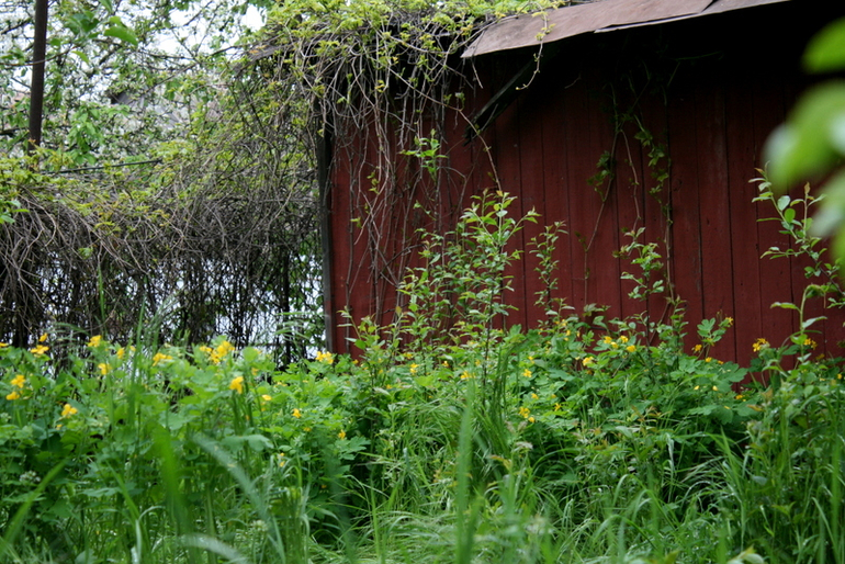 После Дождя