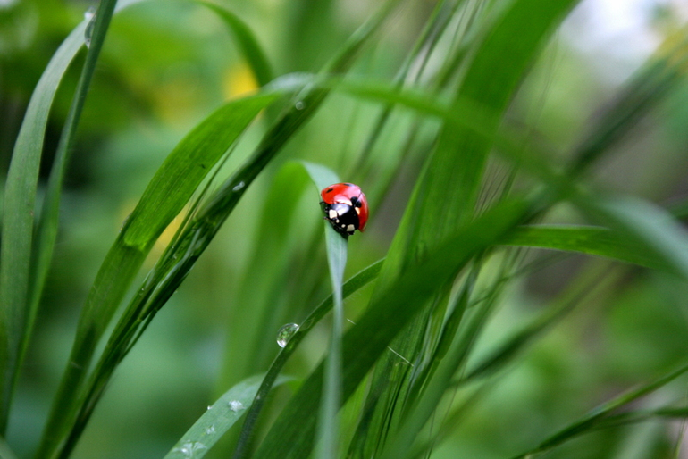 После Дождя
