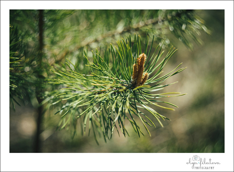 Настя - Том Сойер или хорошо в саду весной ) Часть 1.