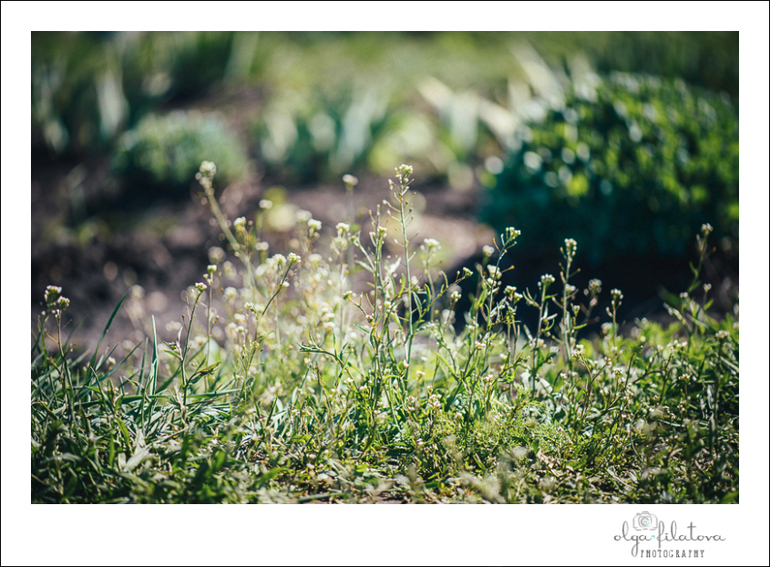Настя - Том Сойер или хорошо в саду весной ) Часть 2.