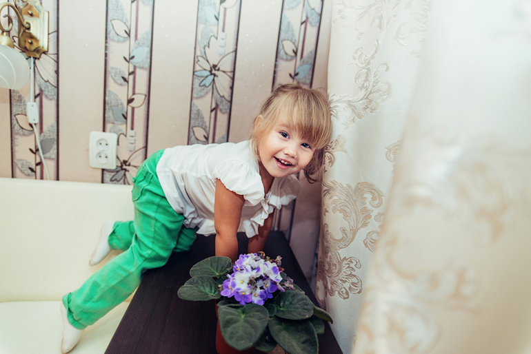 Мои фото-будни... 12 июня или...