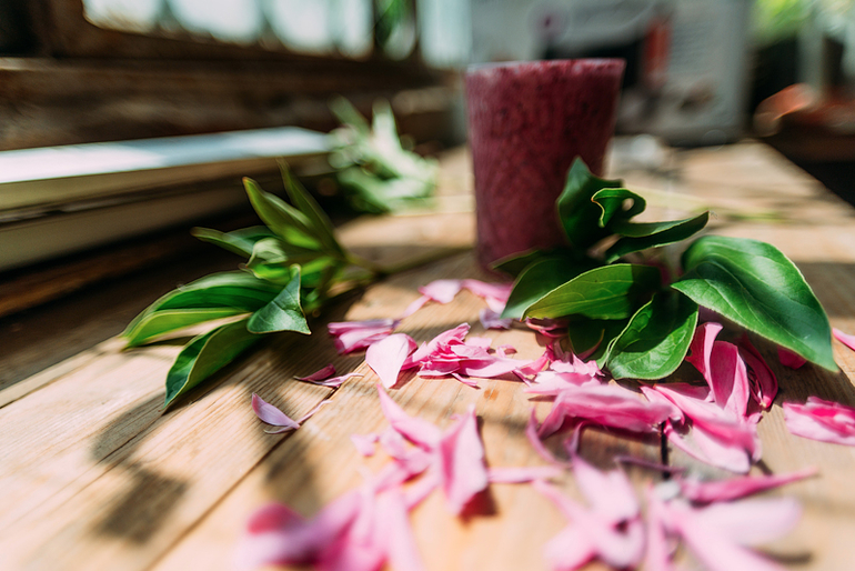 Мои фотобудни 2014... 13 июня