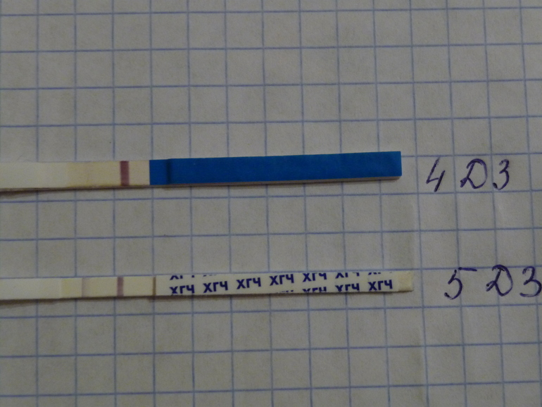 Наш первый "Привет" от бусинки