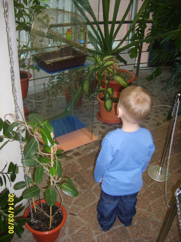 Кукольный театр 30.03.2014г.