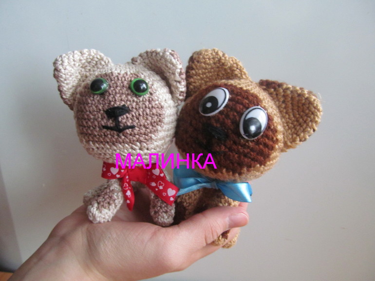 А у нас прибавление ...котят .