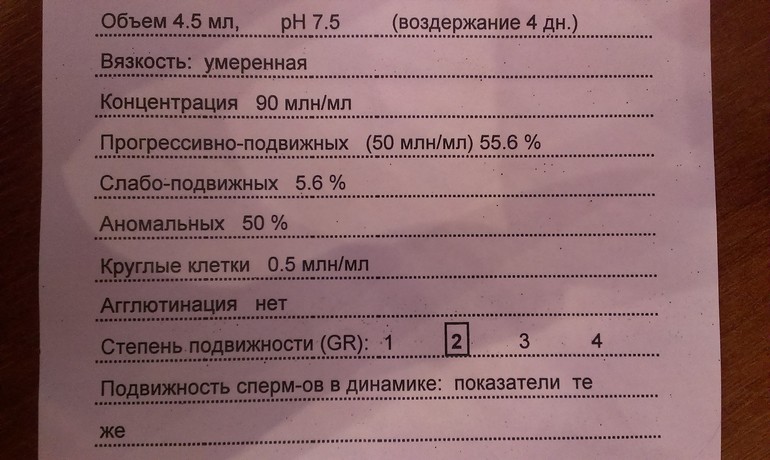 Девочки, сделали СГ!посмотрите плиз