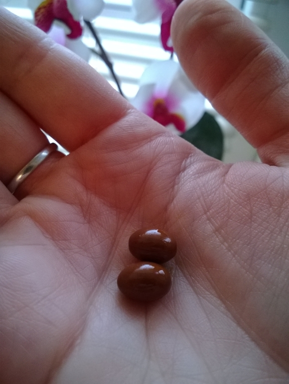 Моя филечка)