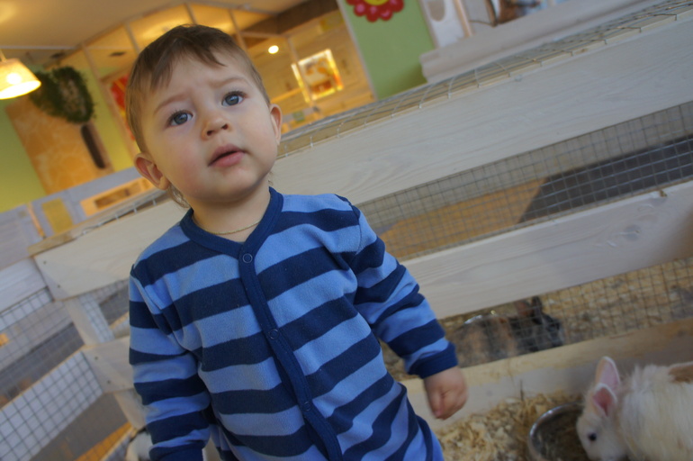 1 год и 1 месяц