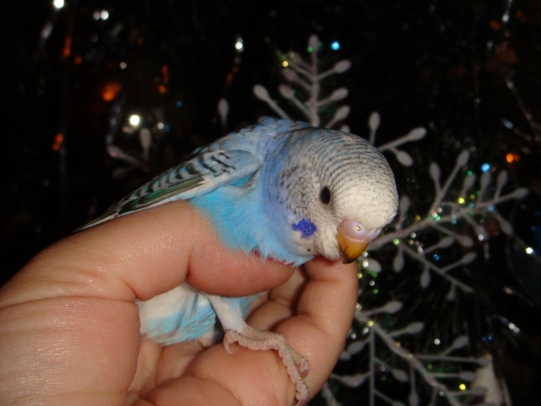 Мои попики!))))