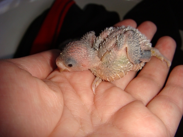 Мои попики!))))