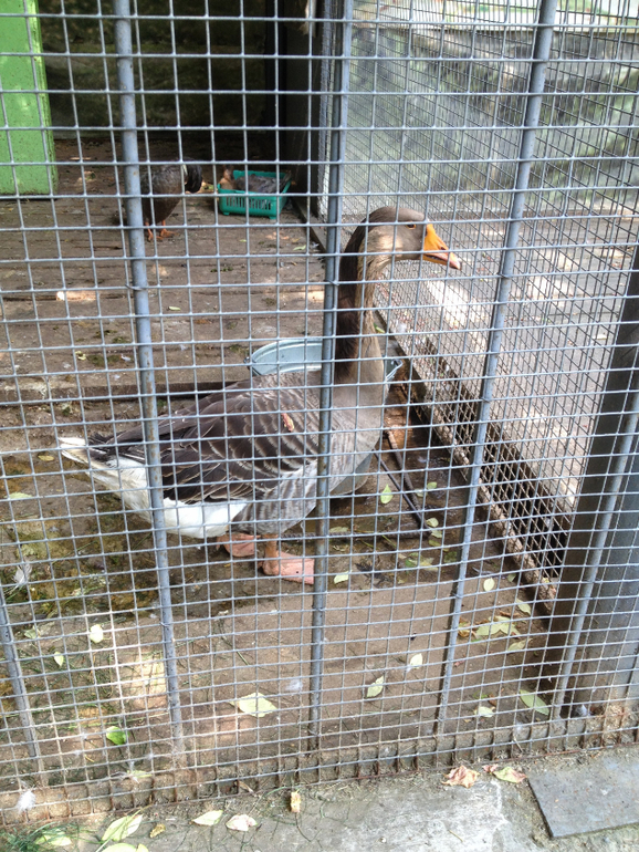 Парк Усадьба Трубецких в Хамовниках.