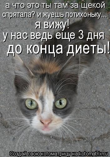 Худеем ,худеем )))))))