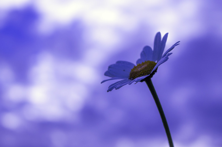 Всем приятного вечера!!!