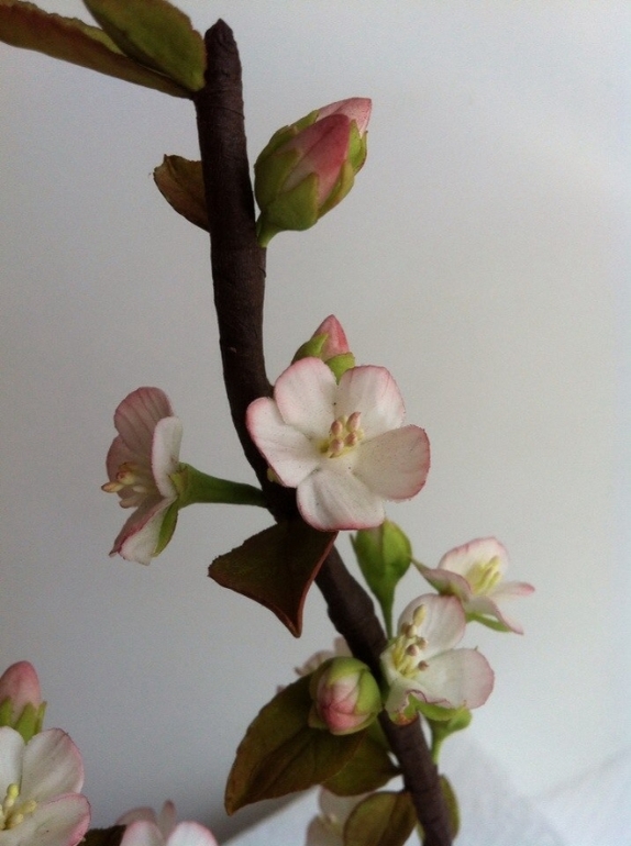 Сахарные цветы