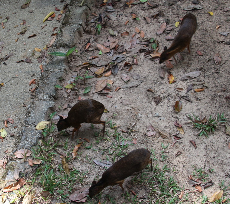 Две недели лета