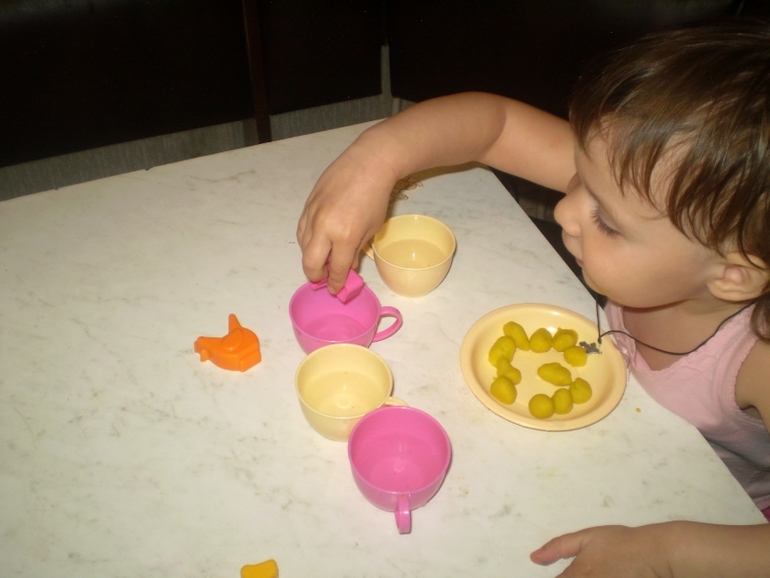 ТН Домашние животные Кошка