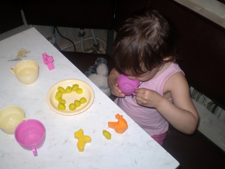 ТН Домашние животные Кошка